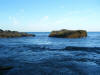 2009-02-07-NI-227.jpg (50958 bytes)