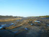 2009-02-07-NI-233.jpg (42847 bytes)