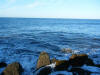 2009-02-07-NI-242.jpg (59867 bytes)
