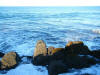 2009-02-07-NI-243.jpg (67647 bytes)