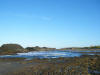 2009-02-07-NI-244.jpg (39920 bytes)