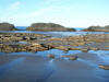 2009-02-07-NI-246.jpg (47111 bytes)