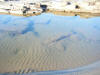 2009-02-07-NI-248.jpg (54554 bytes)
