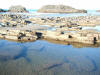 2009-02-07-NI-249.jpg (69357 bytes)