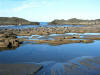 2009-02-07-NI-250.jpg (53049 bytes)