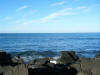 2009-02-07-NI-260.jpg (47623 bytes)