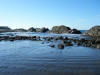 2009-02-07-NI-266.jpg (51043 bytes)