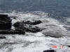 2009-02-21-NI-23.jpg (86765 bytes)