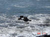 2009-02-21-NI-24.jpg (85682 bytes)