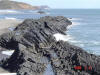 2009-02-21-NI-28.jpg (80568 bytes)