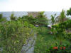 2009-05-30-NI-024.jpg (76693 bytes)
