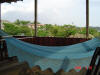 2009-05-30-NI-026.jpg (55258 bytes)
