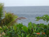 2009-05-30-NI-034.jpg (62056 bytes)