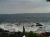 2009-05-30-NI-084.jpg (49016 bytes)