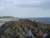 2009-05-30-NI-089.jpg (41339 bytes)