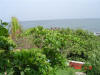2009-05-30-NI-141.jpg (74364 bytes)