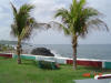 2009-05-30-NI-231.jpg (72576 bytes)
