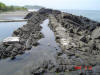 2009-05-30-NI-235.jpg (71405 bytes)