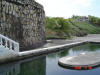 2009-05-30-NI-236.jpg (66536 bytes)