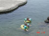 2009-05-30-NI-255.jpg (42438 bytes)
