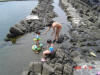 2009-05-30-NI-260.jpg (76006 bytes)