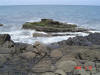 2009-05-30-NI-261.jpg (68352 bytes)
