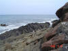 2009-05-30-NI-262.jpg (59036 bytes)