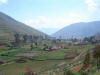 Oxapampa Jan '06-036.jpg (60002 bytes)