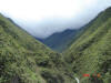 Oxapampa Jan '06-050.jpg (72266 bytes)