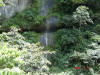 Oxapampa Jan '06-058.jpg (123912 bytes)