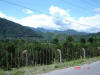 Oxapampa Jan '06-059.jpg (78271 bytes)