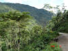 Oxapampa Jan '06-067.jpg (104001 bytes)