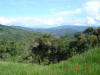 Oxapampa Jan '06-074.jpg (76974 bytes)