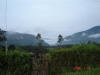 Oxapampa Jan '06-115.jpg (47514 bytes)