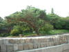 2002-07-18-ROK-06.jpg (54725 bytes)