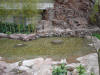 2002-12-Var-SH-064.jpg (165144 bytes)