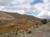 2005-07-Tarma-039.jpg (60269 bytes)