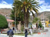 2005-07-Tarma-056.jpg (88777 bytes)