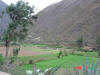 2005-07-Tarma-063.jpg (75363 bytes)