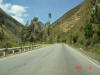 2005-07-Tarma-104.jpg (57739 bytes)