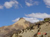 2005-07-Tarma-126.jpg (43318 bytes)