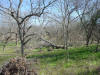 2003-R&R-TX-019.jpg (105183 bytes)