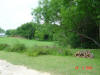 2004-05-24-TX-01.jpg (65908 bytes)
