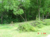 2004-05-24-TX-06.jpg (79892 bytes)