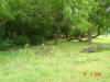 2004-05-24-TX-08.jpg (84224 bytes)