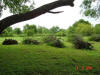 2004-05-24-TX-12.jpg (78915 bytes)