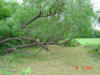 2004-05-27-TX-09.jpg (84778 bytes)