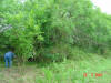 2004-05-27-TX-11.jpg (90404 bytes)
