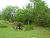 2004-05-27-TX-12.jpg (70477 bytes)