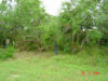 2004-05-27-TX-13.jpg (82560 bytes)